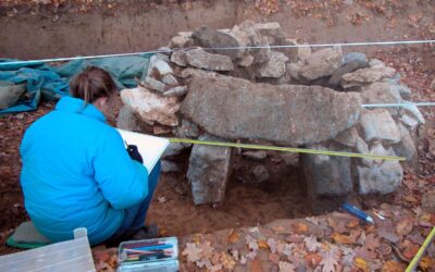 Censimento e catalogazione dei reperti archeologici